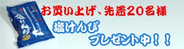 塩けんぴプレゼント 塩けんぴプレゼント