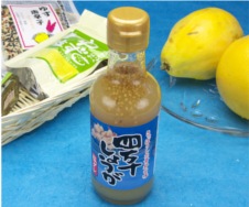 四万十しょうが 塩ダレ 四万十しょうが 塩ダレ